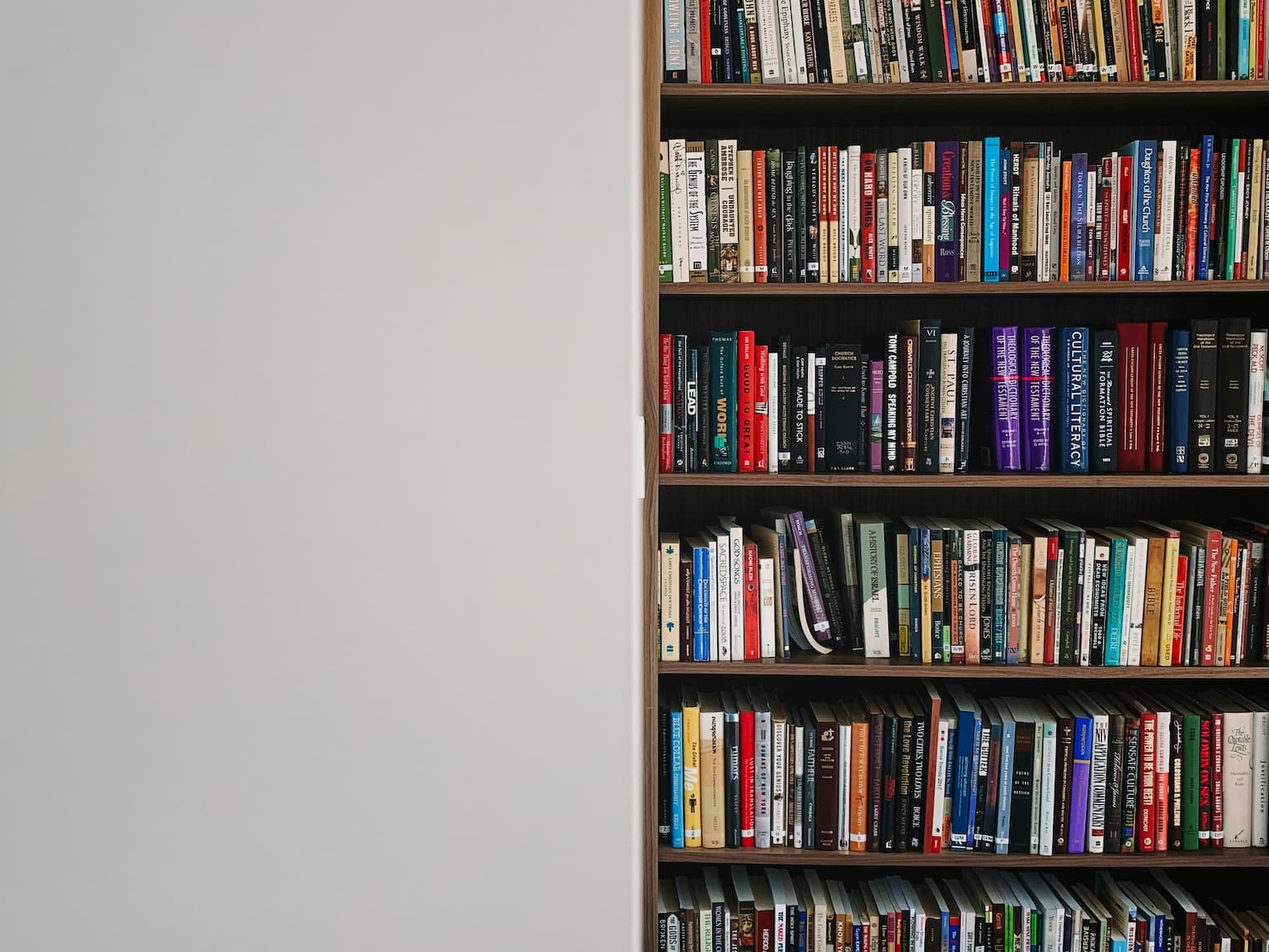 Bookshelf filled with books representing a lifetime of reading