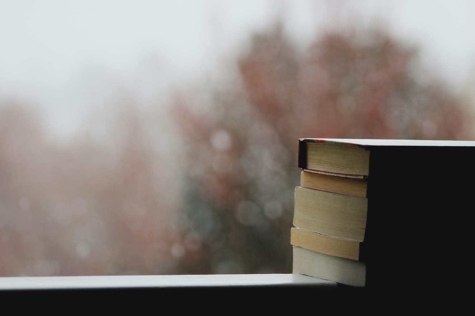 Closed book resting abandoned on a windowsill with rain outside, suggesting a reading pause