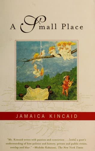 Cover of A Small Place